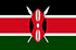 Forskningspaneler online och mobil i Kenya