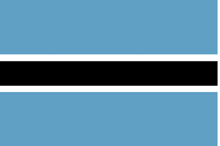 Onlineundersökningar i Botswana