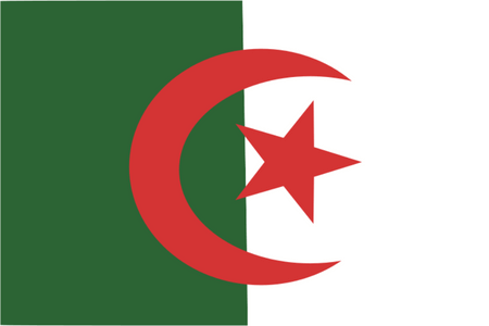 Forskningspaneler online och mobil i Algeriet
