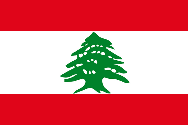 Online- och mobilpanel i Libanon