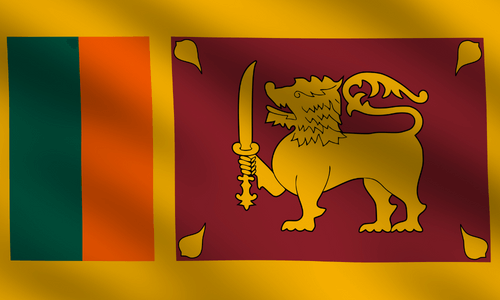 Forskningspanel online i Sri Lanka