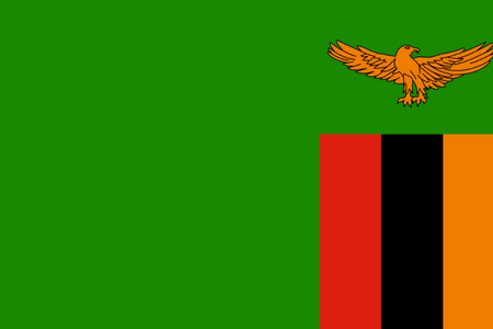 Forskningspaneler online och mobil i Zambia