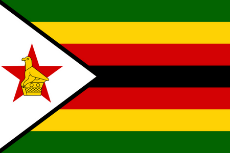 Marknadsundersökningspanel online i Zimbabwe