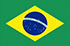 Forskningspanel online i Brasilien