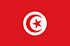 Forskningspaneler online och mobil i Tunisien