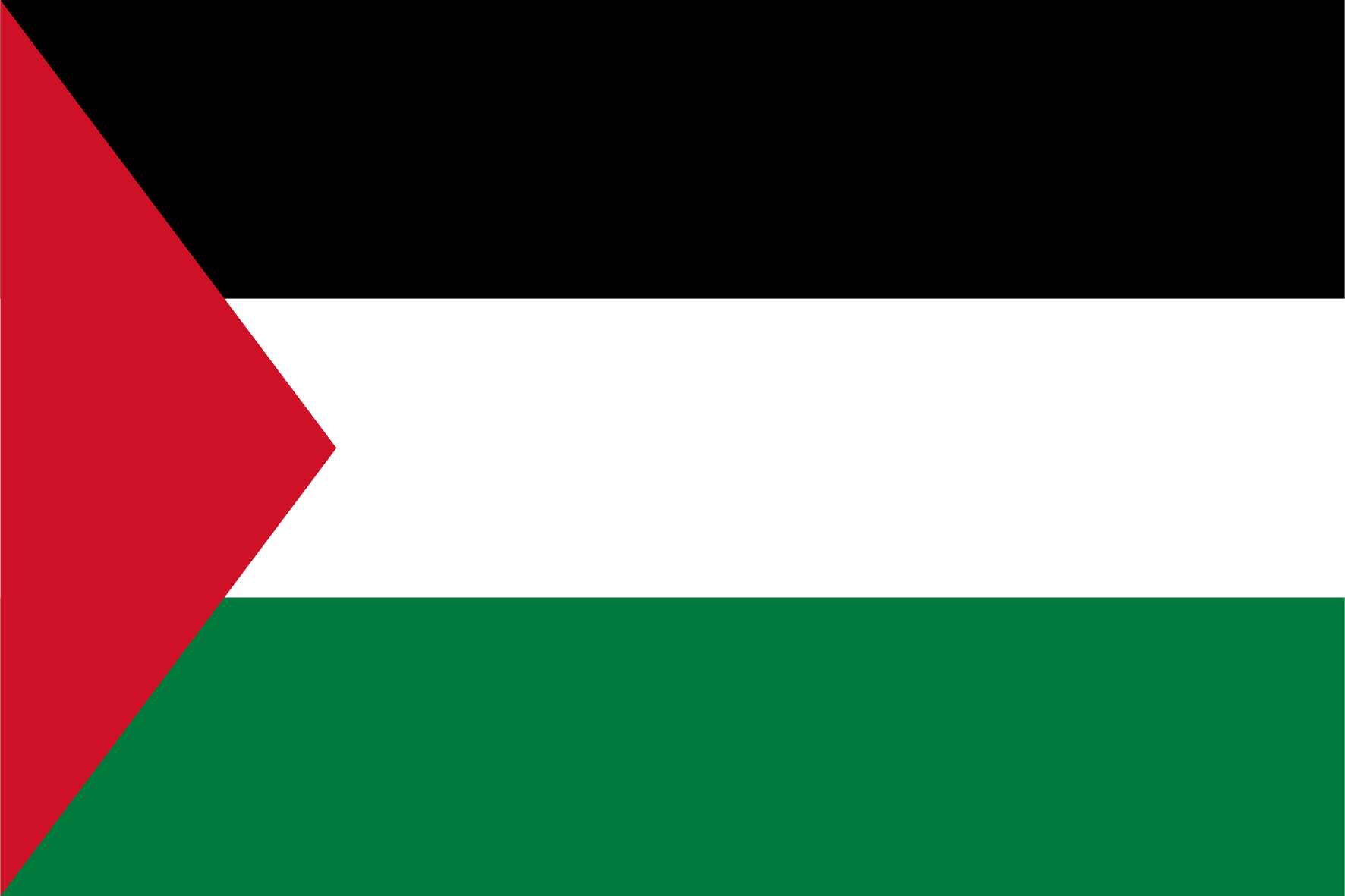 Marknadsundersökningspanel i Palestina