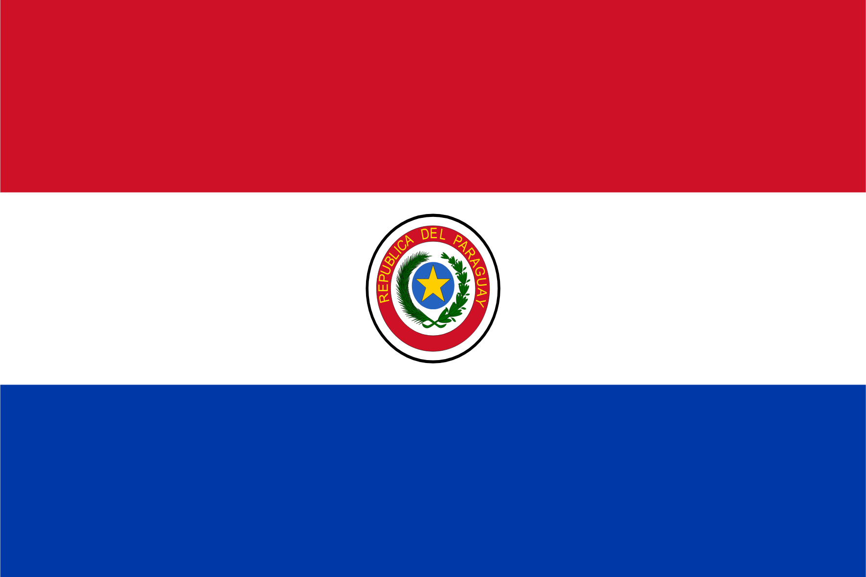 Forskningspanel online i Paraguay