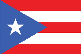Marknadsundersökningspanel online i Puerto Rico