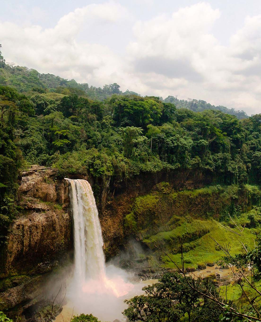 Kamerun I En Glans