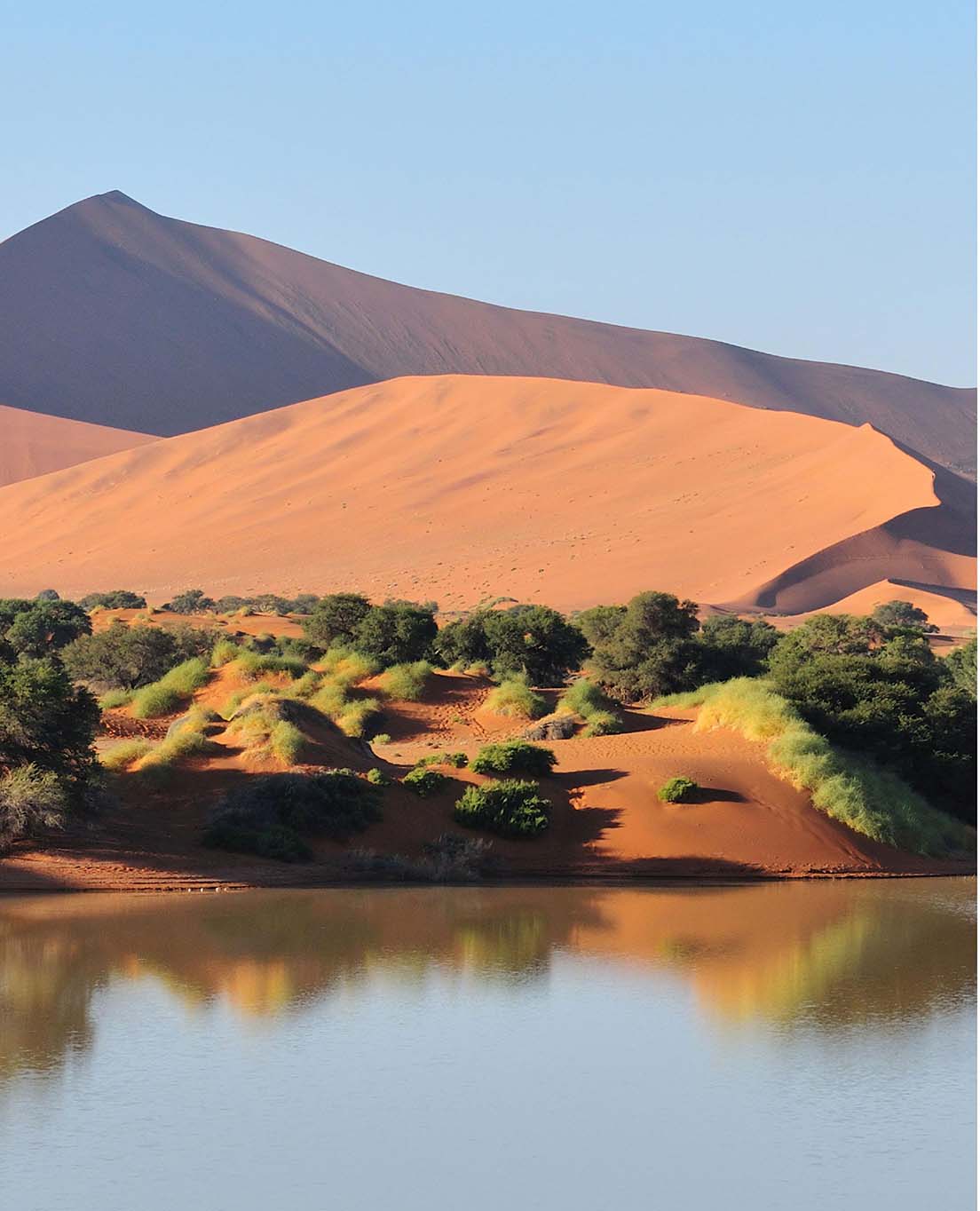 Namibia I En Glans