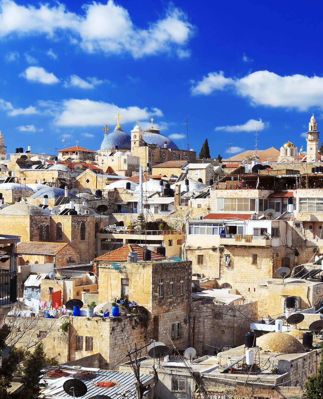 Palestina I En Glans