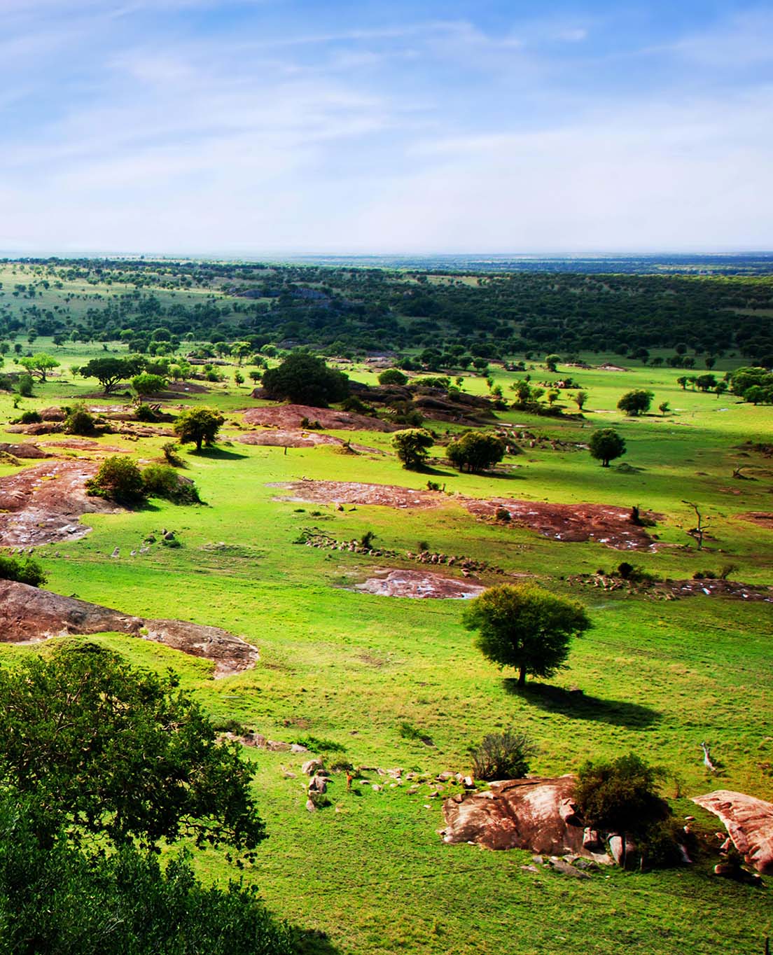 Tanzania I En Glans