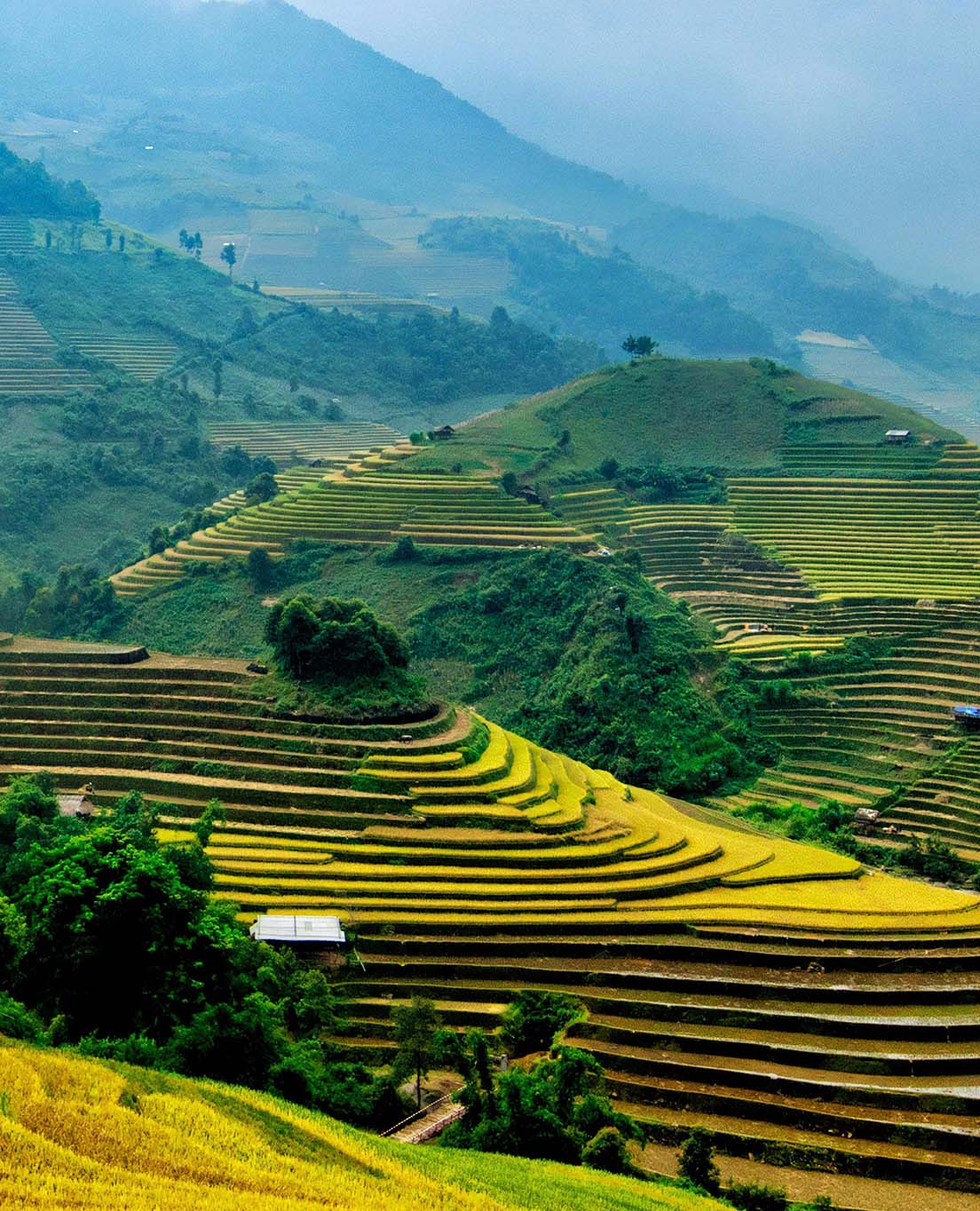 Vietnam I En Glans