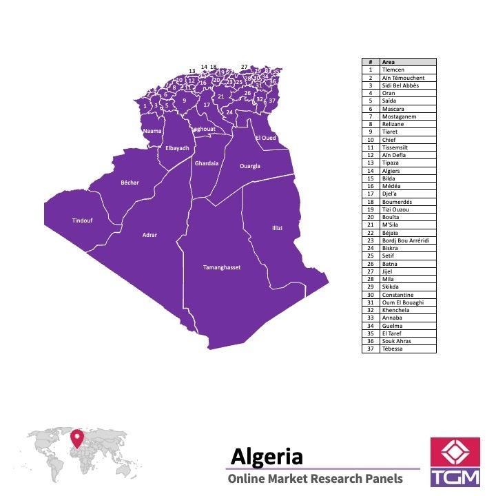 Onlinepanel i Algeriet| Marknadsundersökning i Algeriet