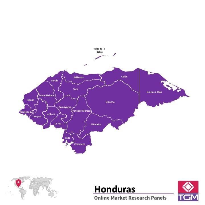 Onlinepanel i Honduras| Marknadsundersökning i Honduras