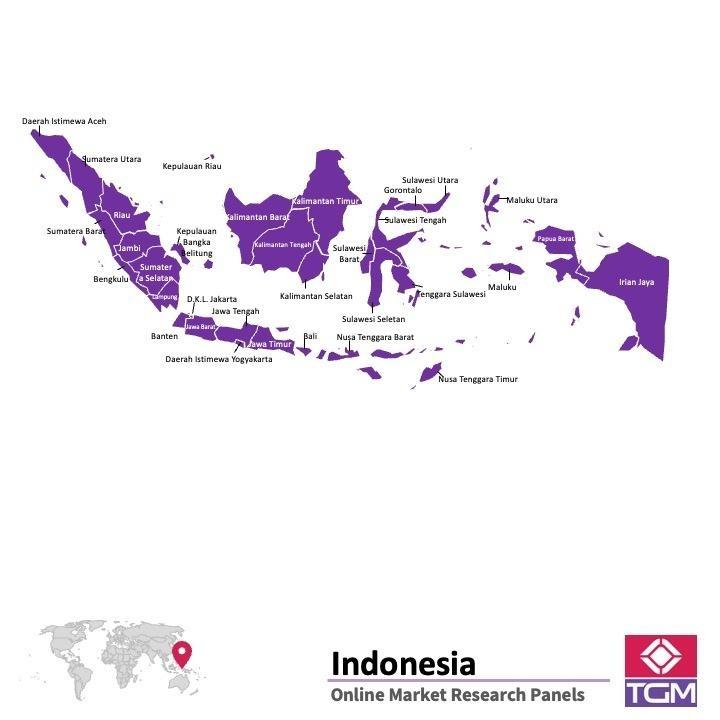 Onlinepanel i Indonesien| Marknadsundersökning i Indonesien