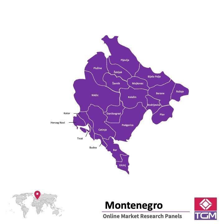Onlinepanel i Montenegro| Marknadsundersökning i Montenegro