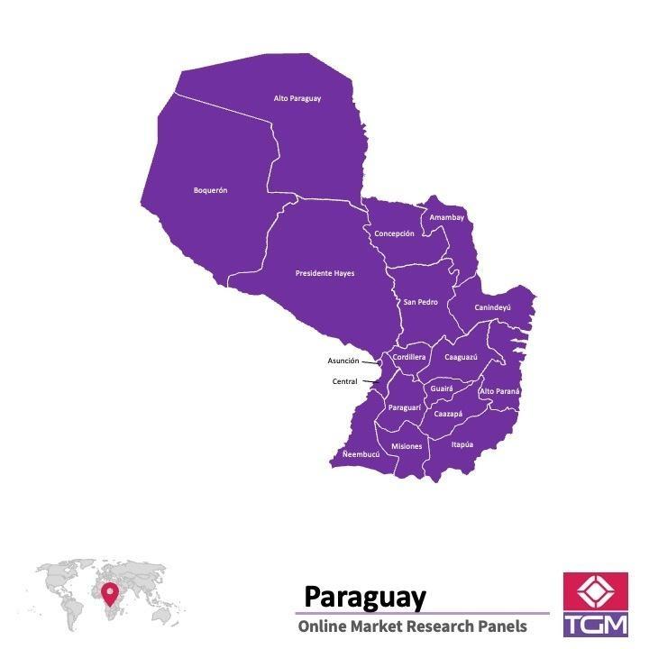 Onlinepanel i Paraguay| Marknadsundersökning i Paraguay