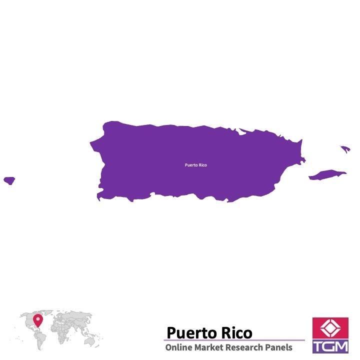 Onlinepanel i Puerto Rico| Marknadsundersökning i Puerto Rico