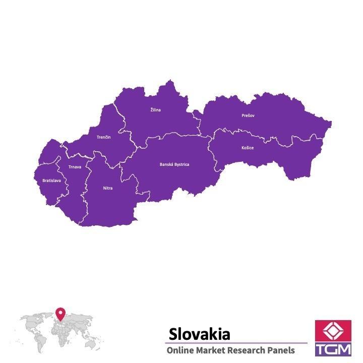 Onlinepanel i Slovakien| Marknadsundersökning i Slovakien