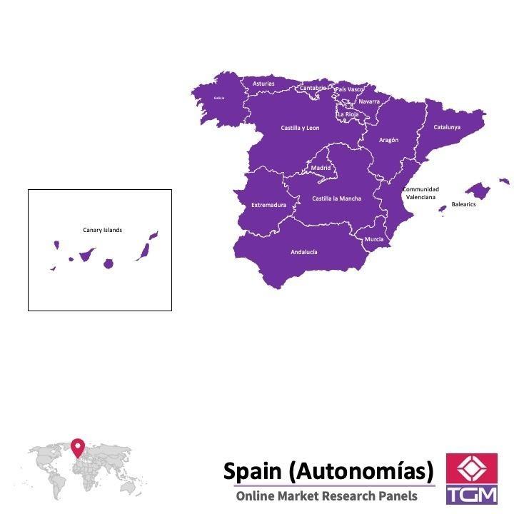 Onlinepanel i Spanien| Marknadsundersökning i Spanien
