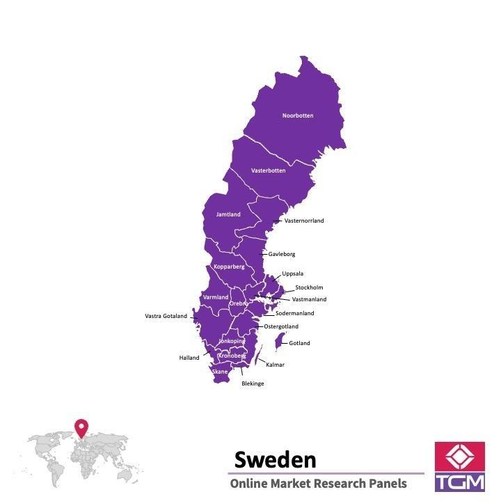 Onlinepanel i Sverige| Marknadsundersökning i Sverige