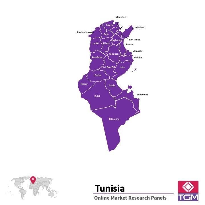 Onlinepanel i Tunisien| Marknadsundersökning i Tunisien