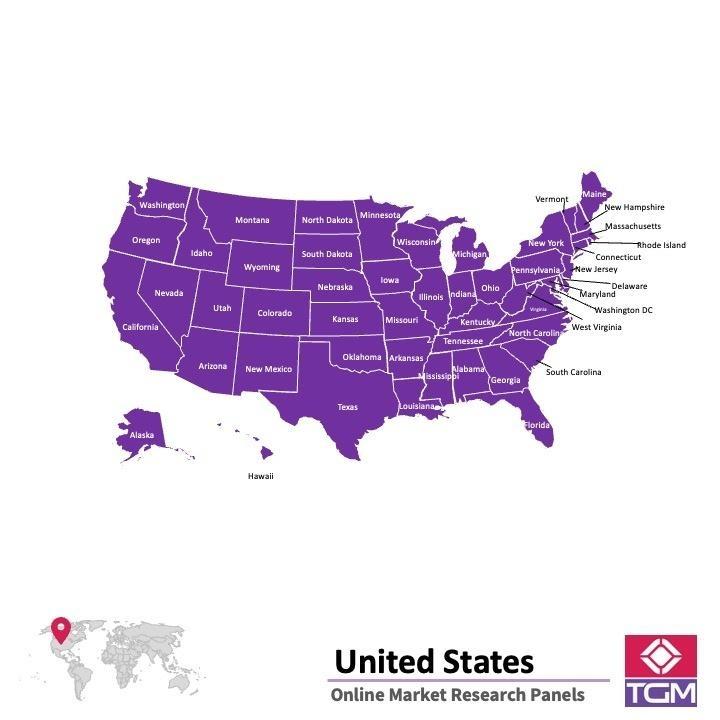 Onlinepanel i USA| Marknadsundersökning i USA