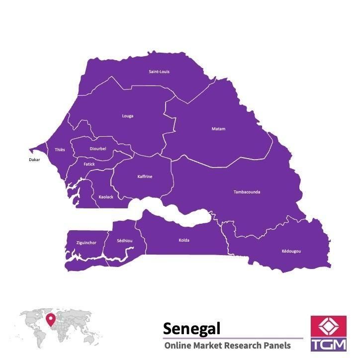 Onlinepanel i Senegal|  Marknadsundersökning i Senegal