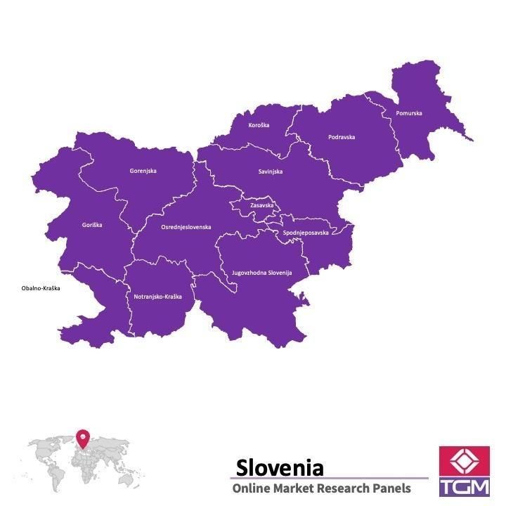 Onlinepanel i Slovenien|  Marknadsundersökning i Slovenien