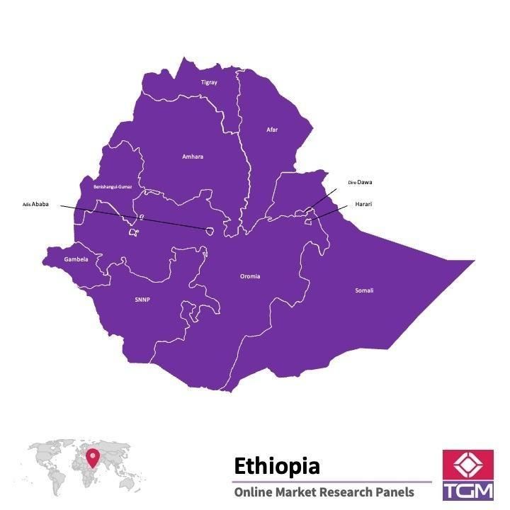 Onlinepanel i Etiopien|  Marknadsundersökning i Etiopien