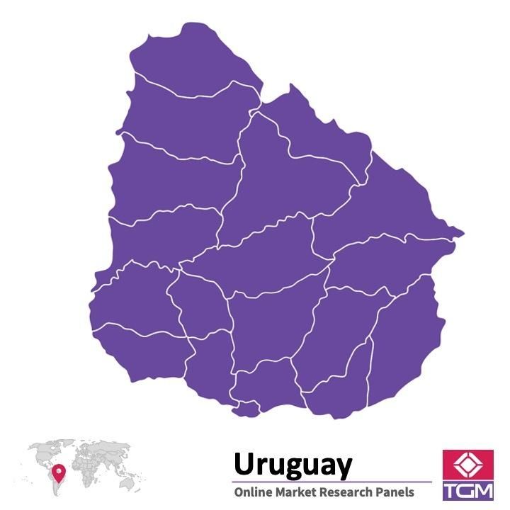 Onlinepanel i Uruguay|  Marknadsundersökning i Uruguay