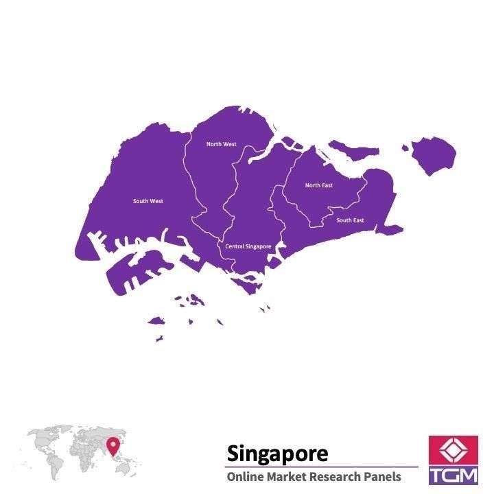 Onlinepanel i Singapore|  Marknadsundersökning i Singapore