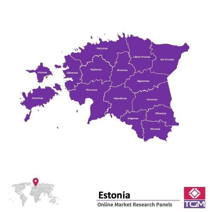 Onlinepanel i Estland|  Marknadsundersökning i Estland