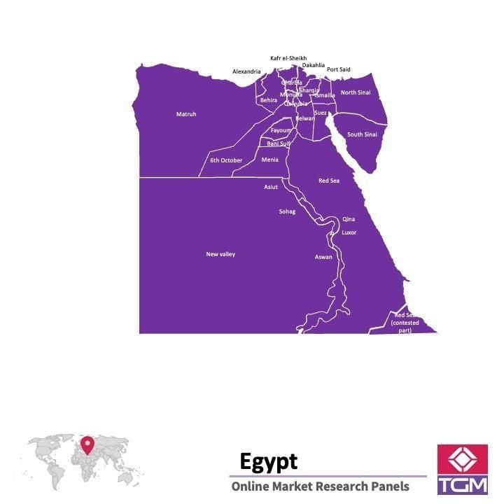 Onlinepanel i Egypten|  Marknadsundersökning i Egypten