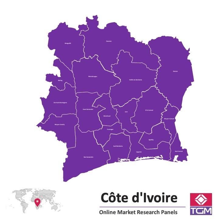 Onlinepanel i Elfenbenskusten|  Marknadsundersökning i Elfenbenskusten