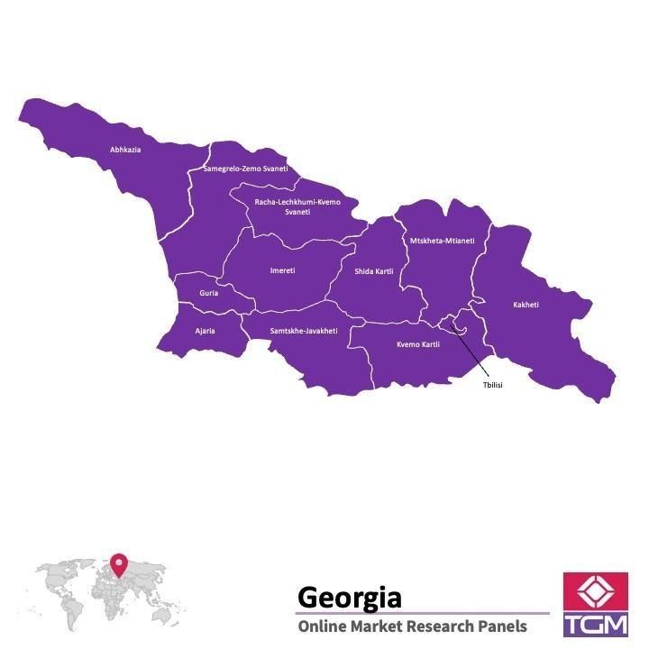 Onlinepanel i Georgien|  Marknadsundersökning i Georgien