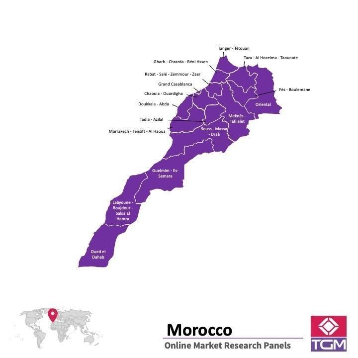 Onlinepanel i Marocko|  Marknadsundersökning i Marocko