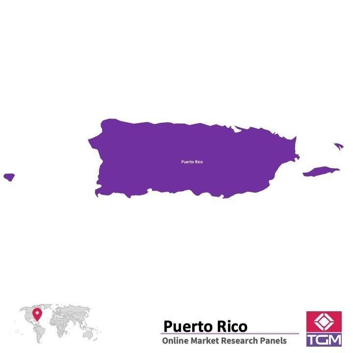 Onlinepanel i Puerto Rico|  Marknadsundersökning i Puerto Rico