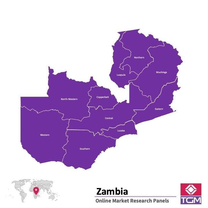 Onlinepanel i Zambia|  Marknadsundersökning i Zambia