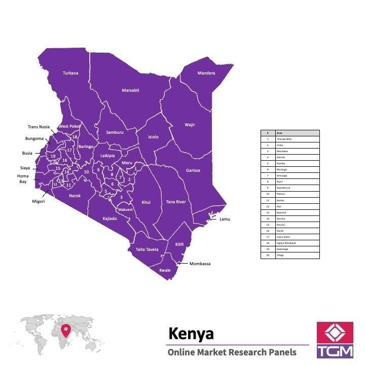 Onlinepanel i Kenya|  Marknadsundersökning i Kenya