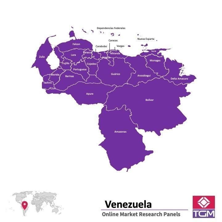 Onlinepanel i Venezuela|  Marknadsundersökning i Venezuela