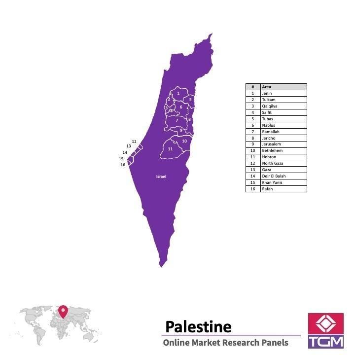 Onlinepanel i Palestina|  Marknadsundersökning i Palestina