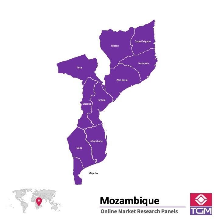 Onlinepanel i Moçambique|  Marknadsundersökning i Moçambique