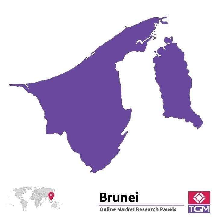 Onlinepanel i Brunei|  Marknadsundersökning i Brunei