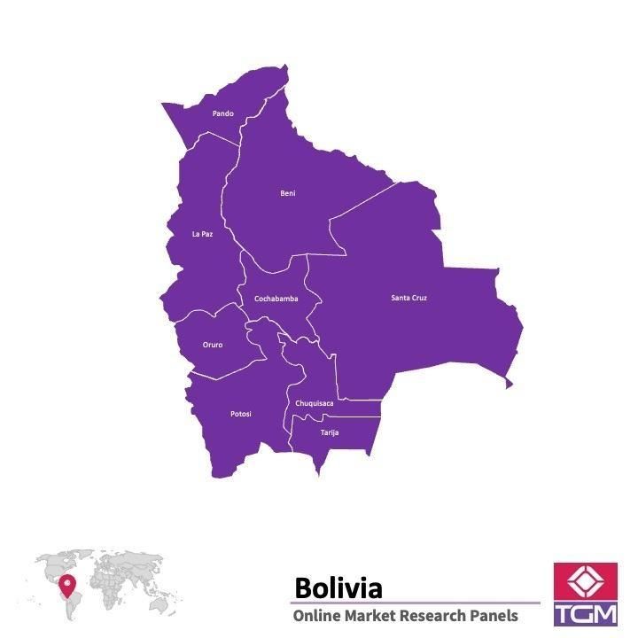 Onlinepanel i Bolivia|  Marknadsundersökning i Bolivia