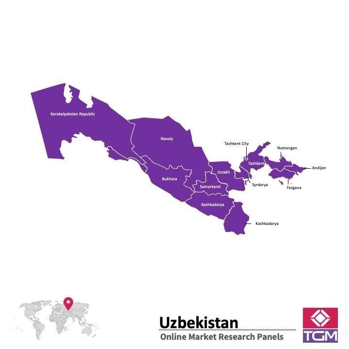 Onlinepanel i Uzbekistan|  Marknadsundersökning i Uzbekistan