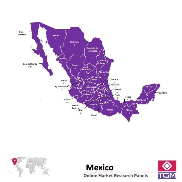 Onlinepanel i Mexiko|  Marknadsundersökning i Mexiko