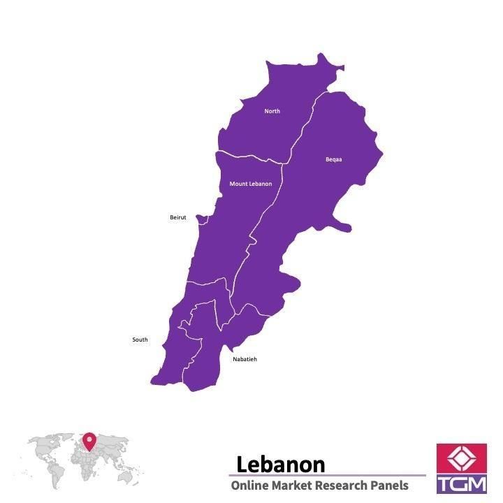 Onlinepanel i Libanon|  Marknadsundersökning i Libanon