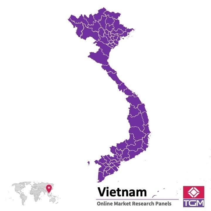 Onlinepanel i Vietnam|  Marknadsundersökning i Vietnam